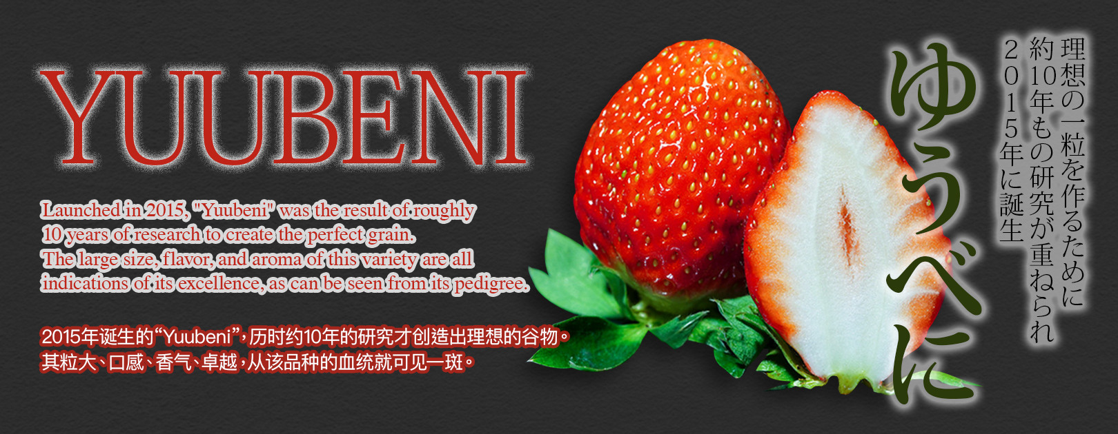 Yubeni Strawberry