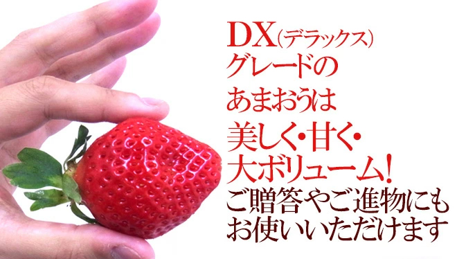 Amaou Strawberry