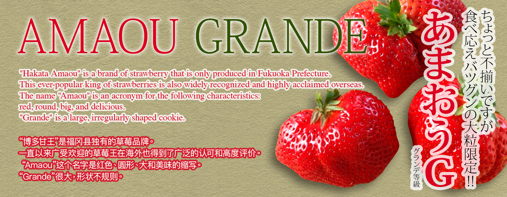Amaou G Strawberry