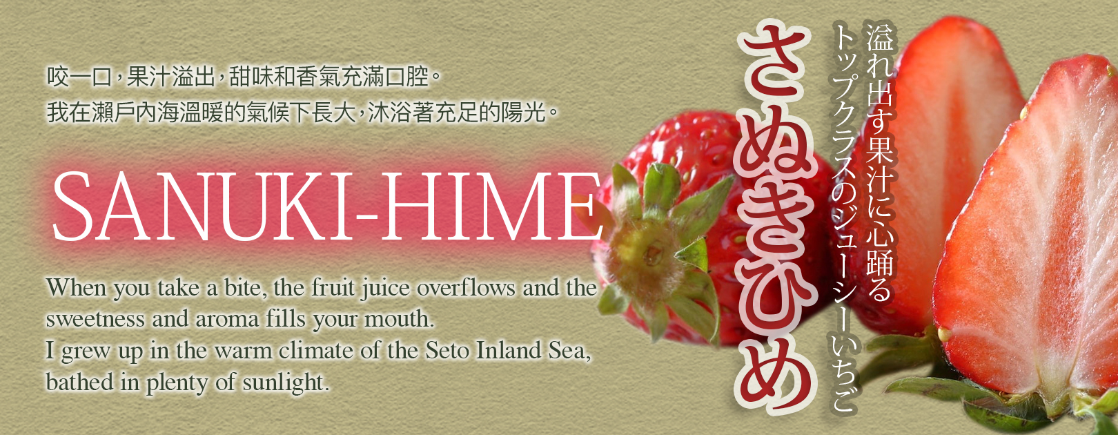 Sanuki-hime Strawberry