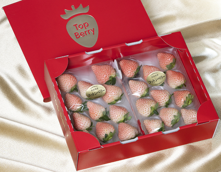 Cotton Berry Strawberry