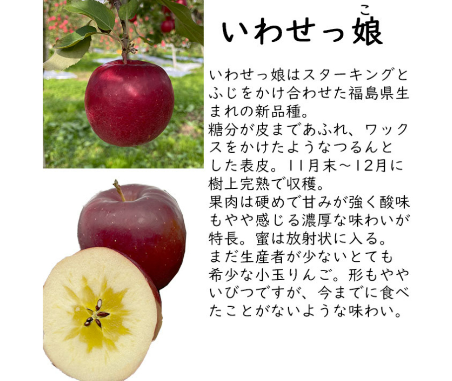 Iwasekko Honey Apple