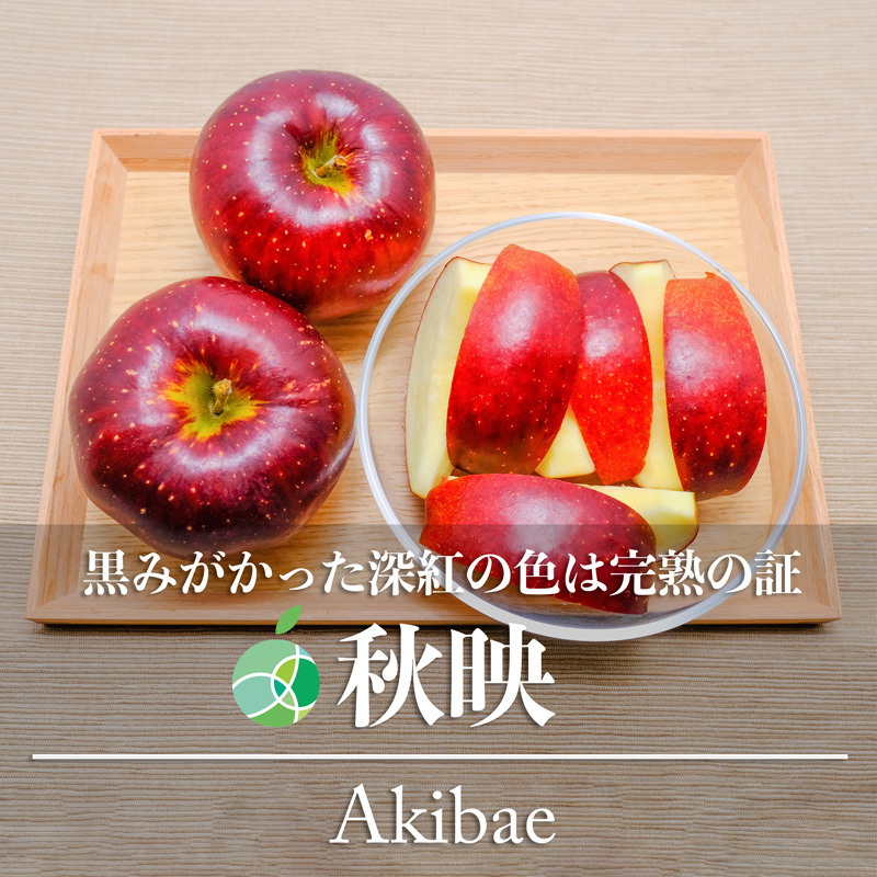 Sun Akibae Apple