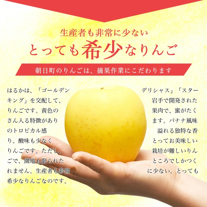 Haruka Golden Honey Apple