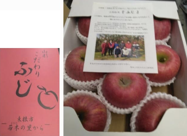 Hon Fuji Apple