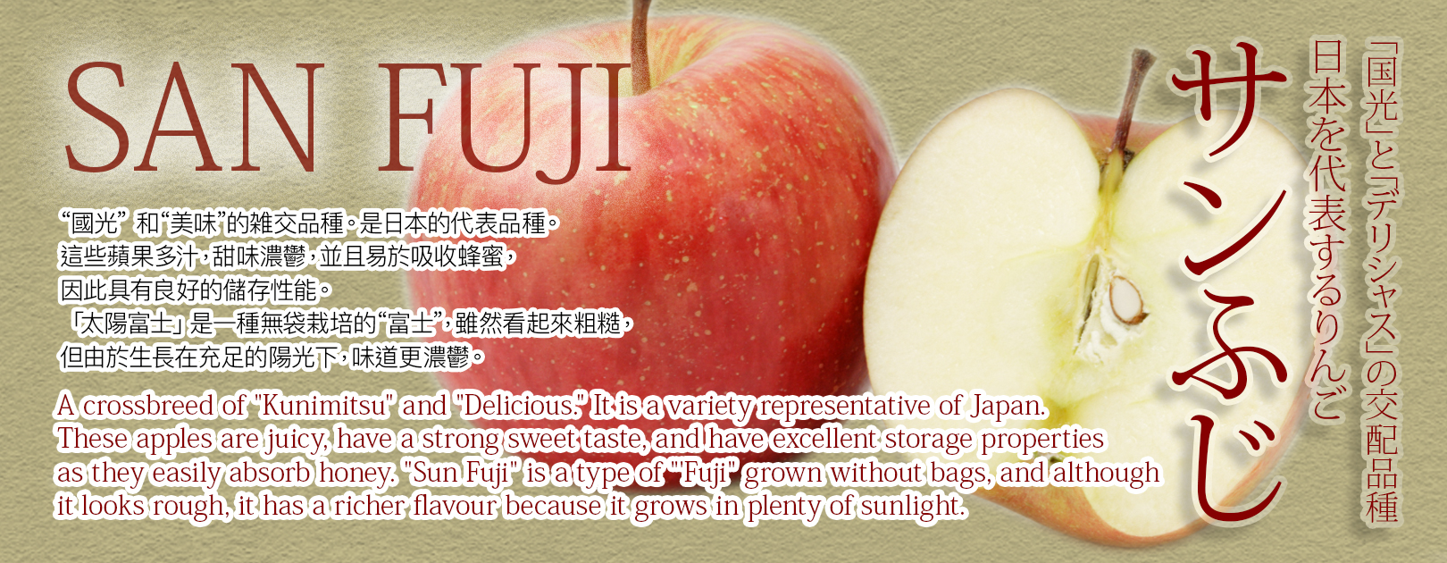 Sun Fuji Apple