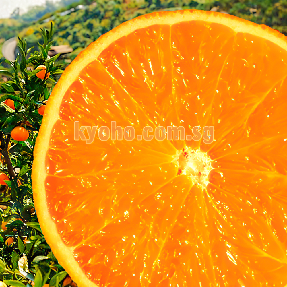 Beni Madonna Orange