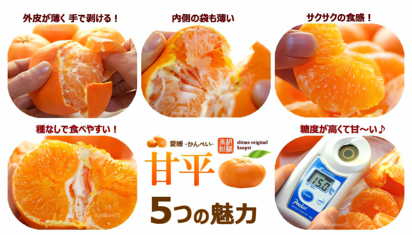 Kanpei Orange