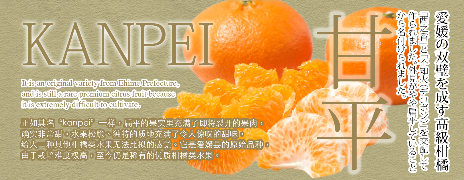 Kanpei Orange