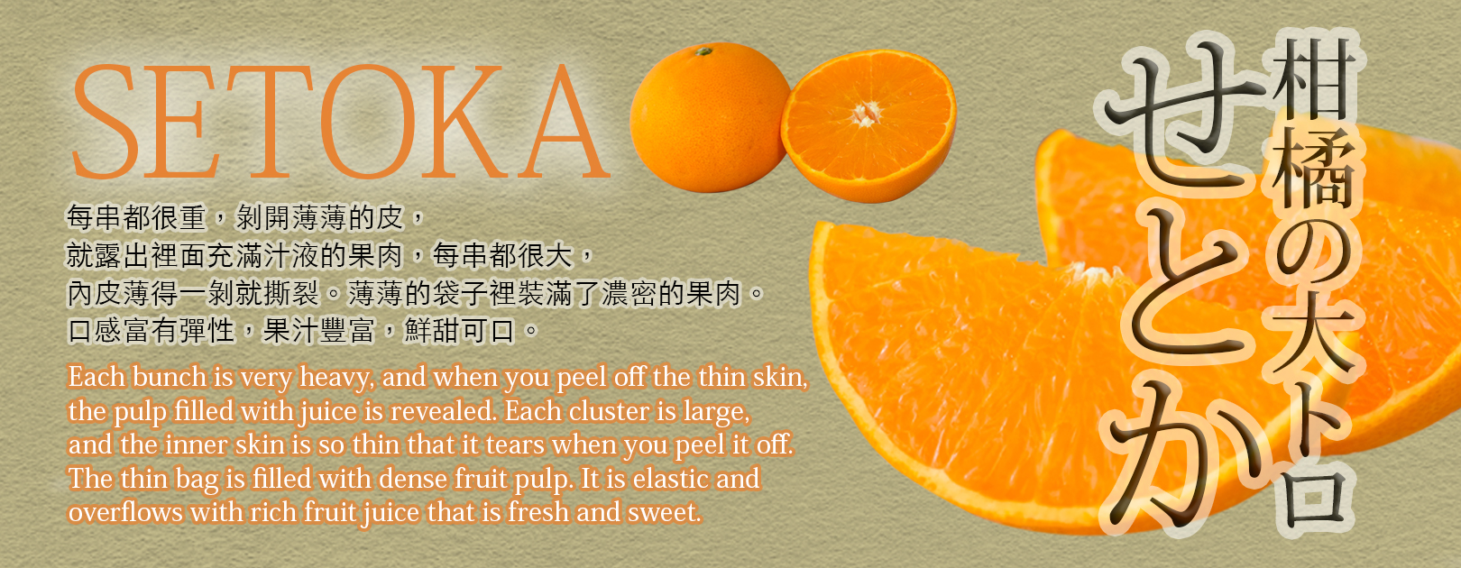 Setoka Orange
