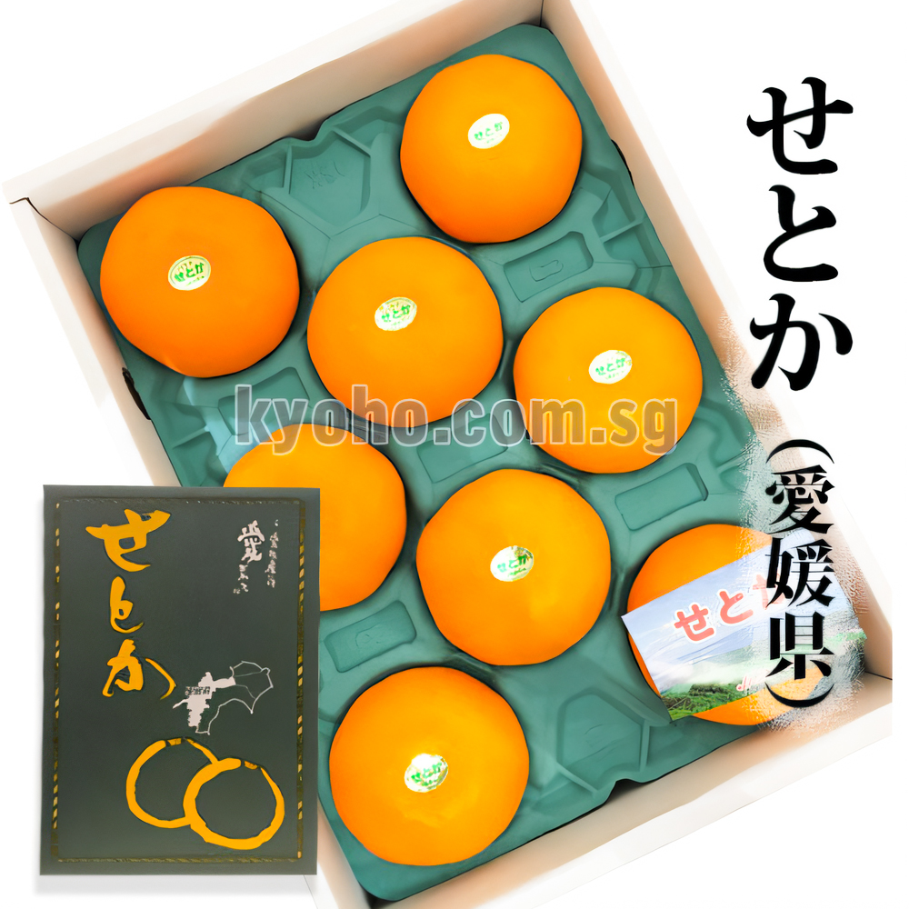 Setoka Orange
