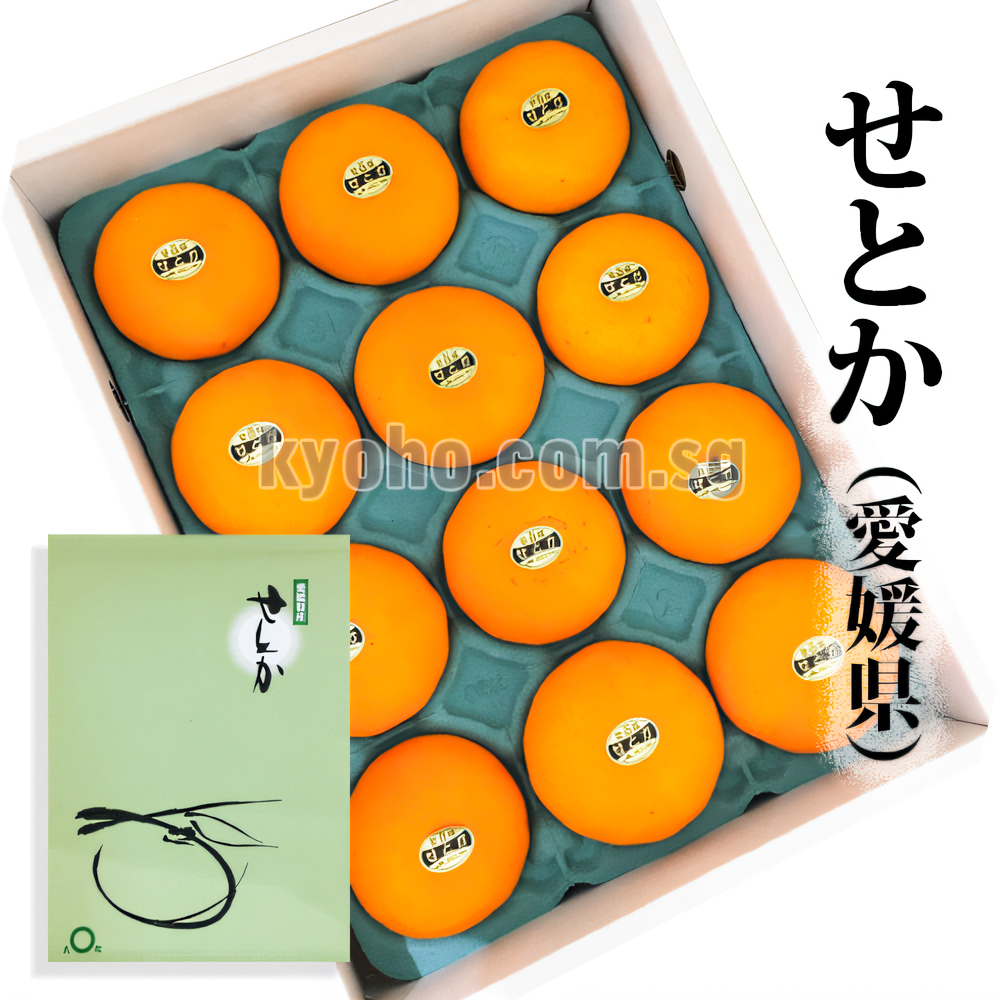 Setoka Orange