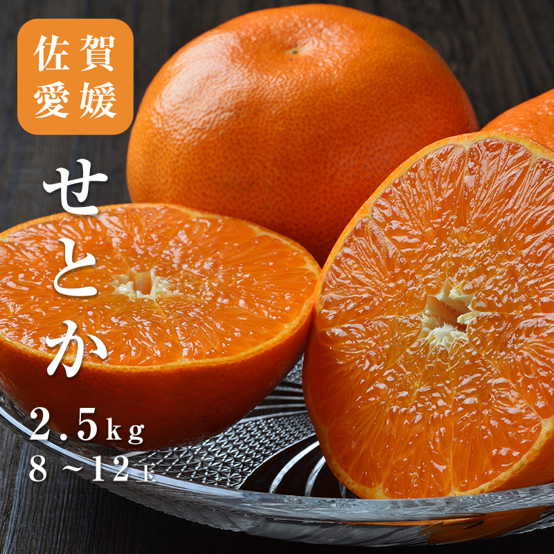 Setoka Orange
