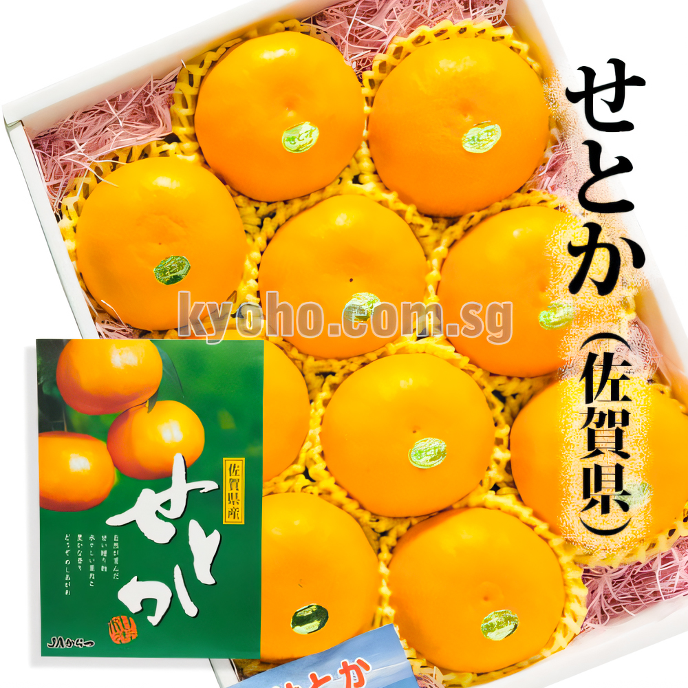 Setoka Orange
