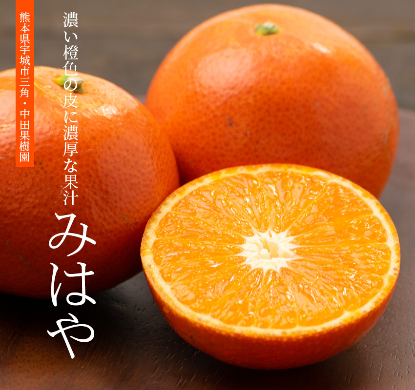 Mihaya Orange