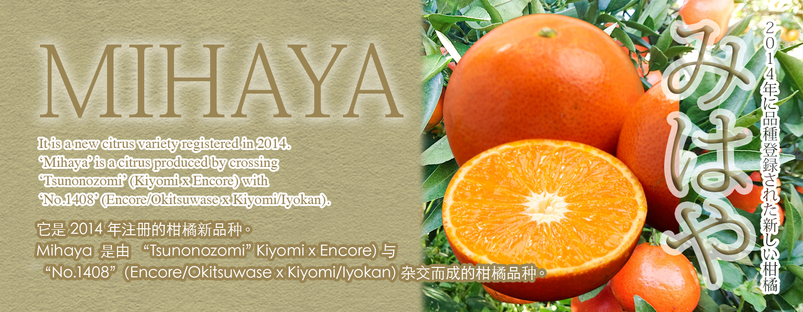 Mihaya Orange