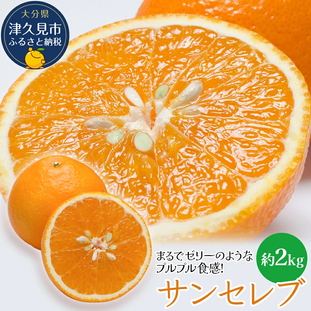 Jelly Orange Sun Celeb