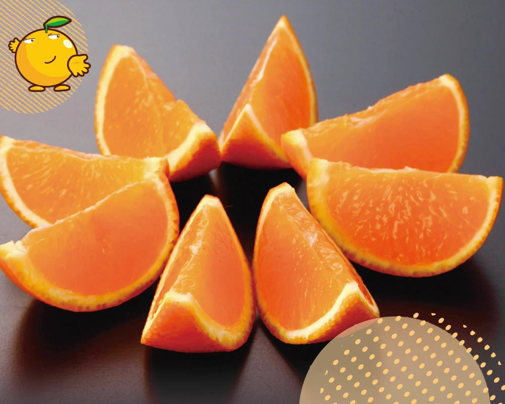 Jelly Orange Sun Celeb