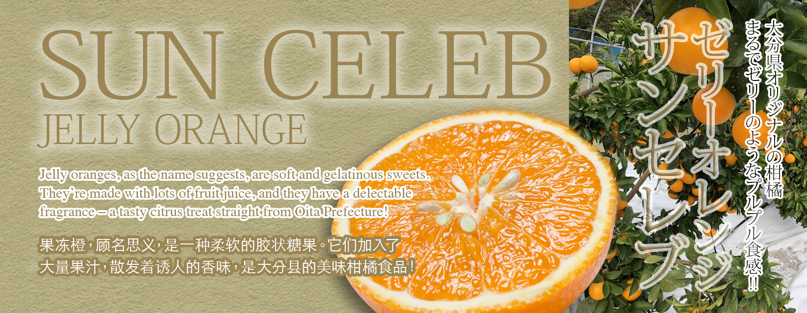 Jelly Orange Sun Celeb