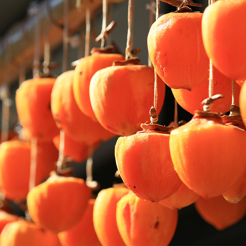 Ichida-Gaki Dried Persimmon