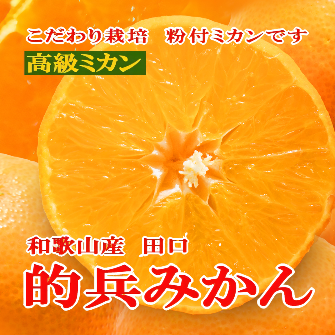 Matohyo Mikan