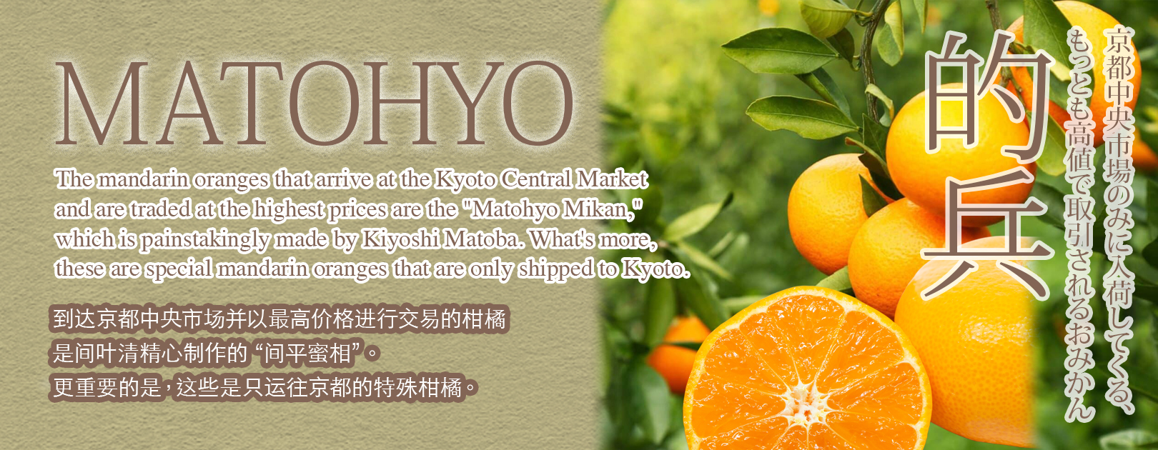 Matohyo Mikan