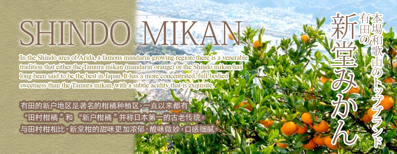 Arida Shindo Mikan