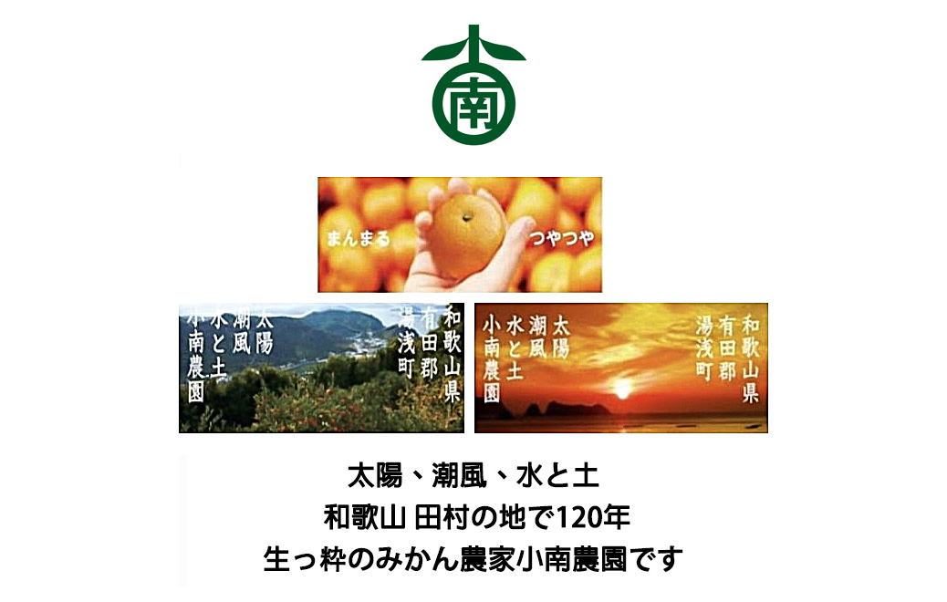 Special Selected Tamura Mikan