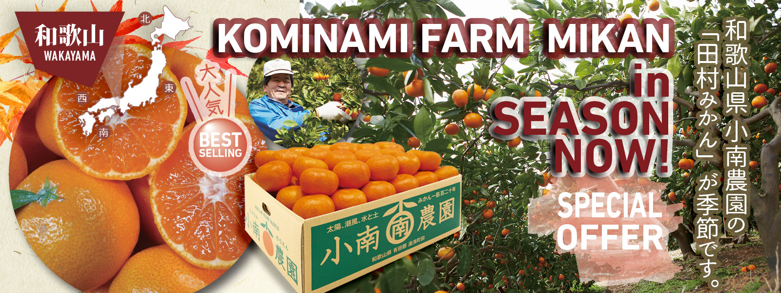 Special Selected Tamura Mikan