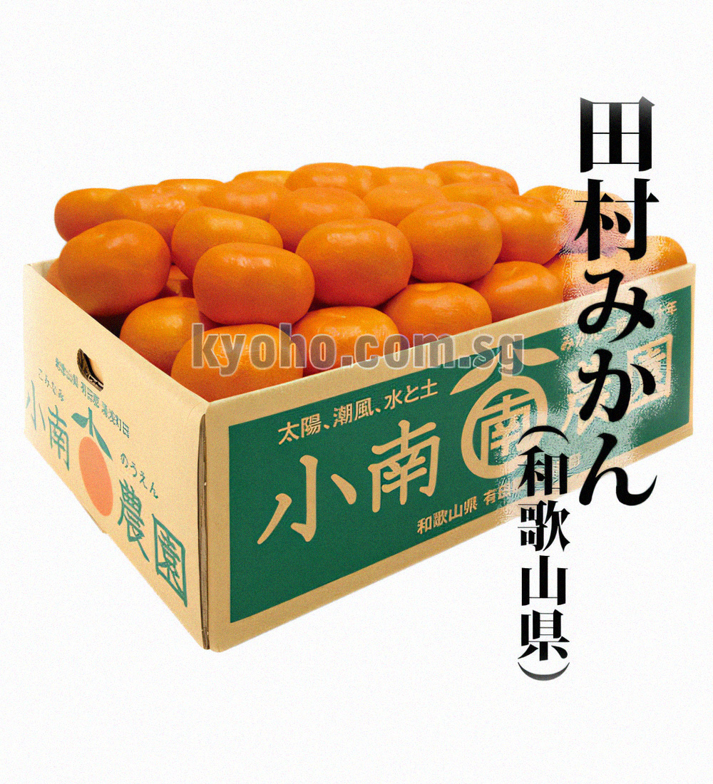 Special Selected Tamura Mikan