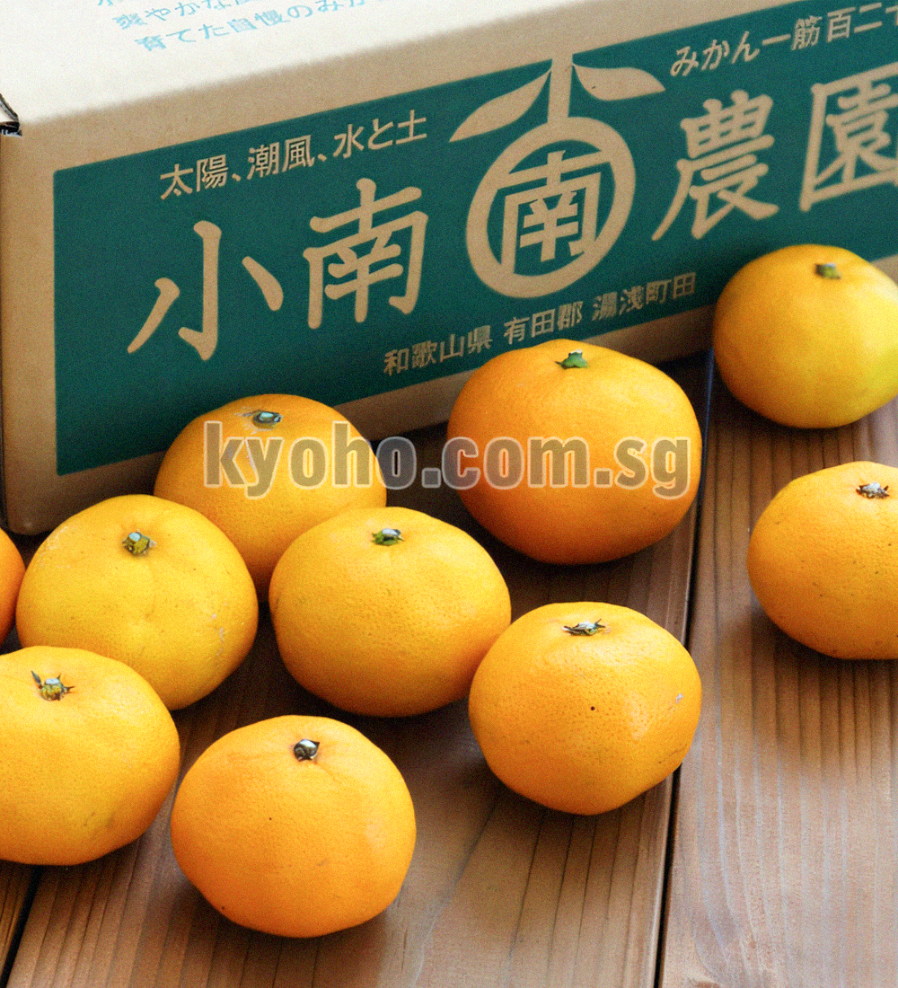 Special Selected Tamura Mikan