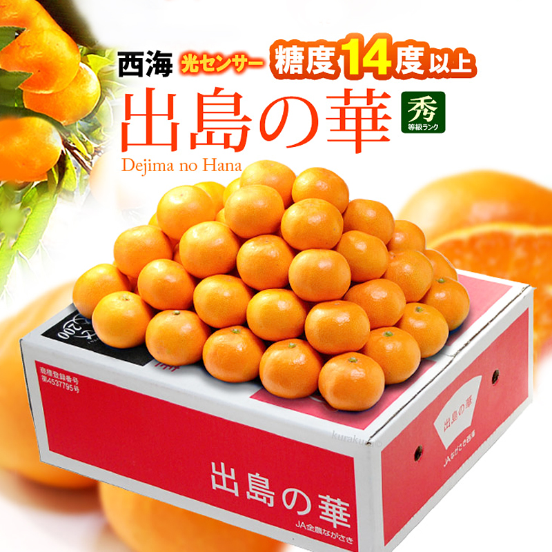Dajima No Hana Mikan