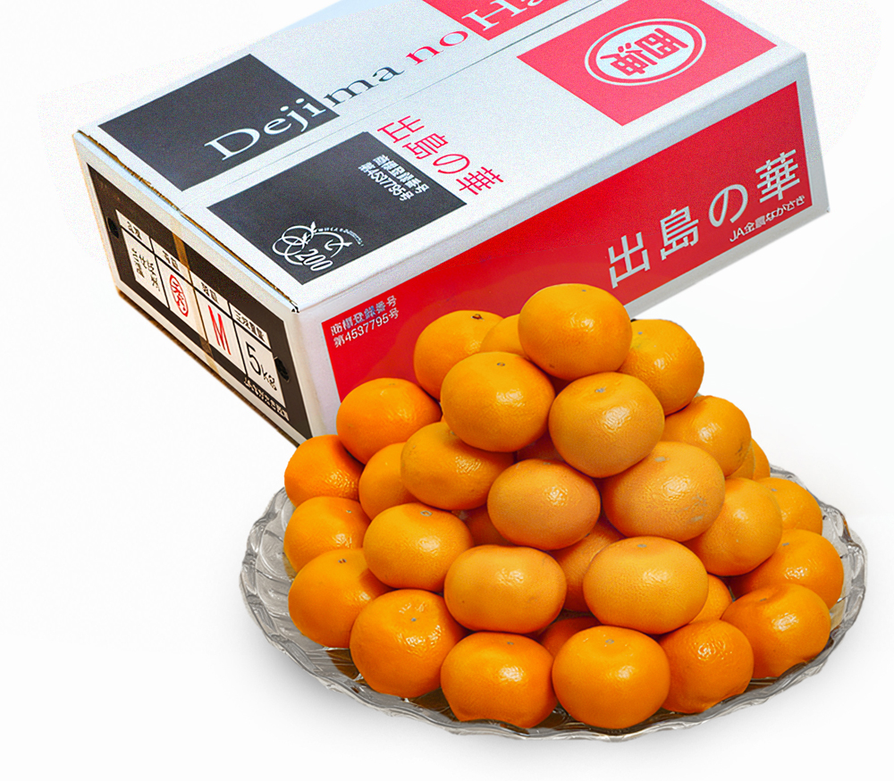 Dajima No Hana Mikan