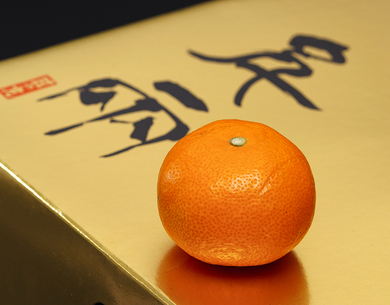 Hinomaru Senryu Mikan