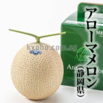 Aroma Melon | (Luxury Grade - YAMA) | Shizuoka Prefecture