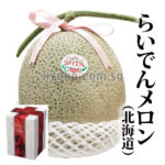 Raiden Rupia Melon (Red Fresh) | Hokkaido Prefecture | 2L Size