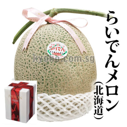 Raiden Rupia Melon (Red Fresh) | Hokkaido Prefecture | 2L Size