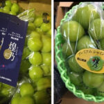 Shine Muscat "Kiramekino" Premium Variety | Okayama Prefecture