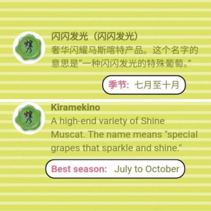 Special Shine Muscat | Kiramekino (Premium Variety) | Okayama Prefecture