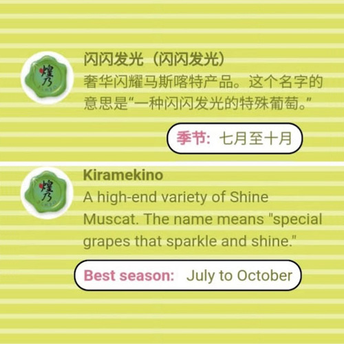 Special Shine Muscat | Kiramekino (Premium Variety) | Okayama Prefecture