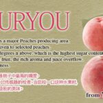 Daitouryou Peach