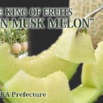 Crown Musk Melon