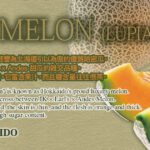 Raiden Rupia Melon (Red Fresh) | Hokkaido Prefecture