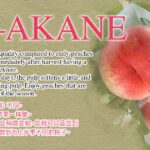 Sachiakane Peach | Premium Grade | Yamanashi Prefecture