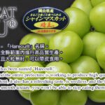 Shine Muscat Grapes (Hareo-Variety) | Okayama Prefecture