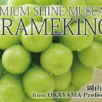 Shine Muscat "Kiramekino" Premium Variety | Okayama Prefecture