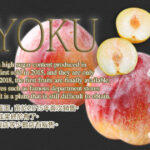 "Reigyuku" Shinano Pearl Plum | Nagano Prefecture