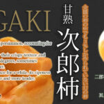 Jiro-GaJiro Kaki Persimmon (Seedless) | Premium-Aoshu Grade | Aichi Prefecture
