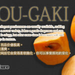 Kitaro Persimmon | Tottori Prefecture