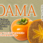 Kinokawa Persimmon Kuroama-Black (Seedless) | Wakayama Prefecture